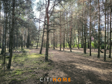 Działka Sprzedaż Malcanów Żwirowa