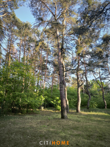 Działka Sprzedaż Józefów Skrajna 2