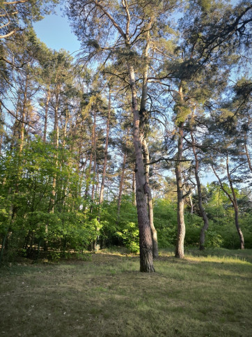 Dom Sprzedaż Józefów 7
