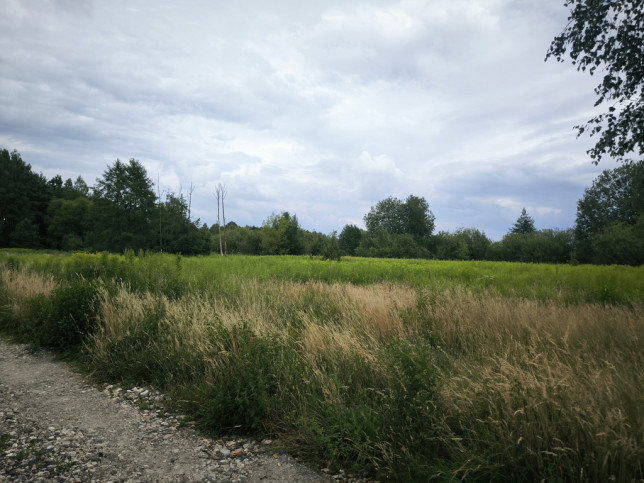 Działka Sprzedaż Glinianka Skowronka 9