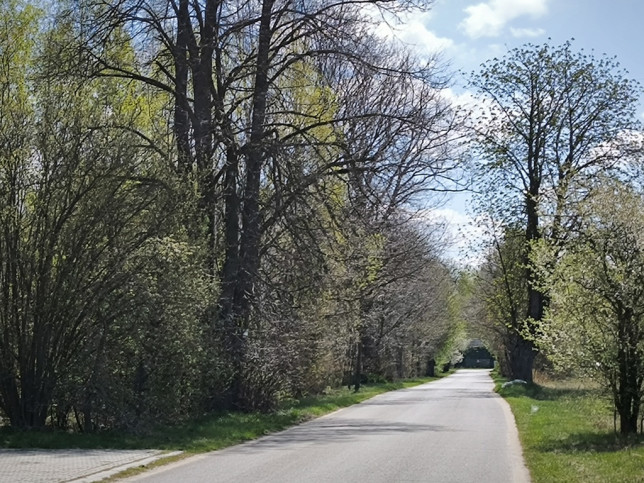 Działka Sprzedaż Poschła 7