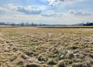 Działka Sprzedaż Rzakta